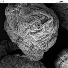 POLIMERY 2006, 51,nr2 135 Fig. 3. SEM image of the product of VC suspension polymerization in the presence of MMT pre-treated with octadecylamine, given as a powder Fig. 5. SEM image of the product of VC suspension polymerization in the presence of hybrid core/shell nanospheres, given in sol Fig.