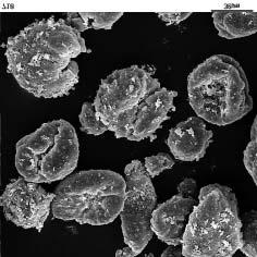 SEM image of the product of VC suspension polymerization in the presence of silicone polymer, given in sol polymer grain shape is an additional very important factor influencing the