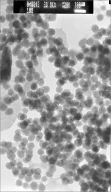 136 POLIMERY 2006, 51,nr2 Fig. 7.