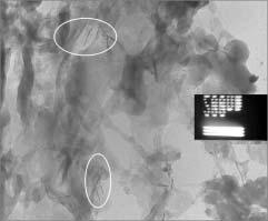technological and technical assistance. REFERENCES Fig. 10. TEM image of mesoporosity region in PVC/silica system 1. Aguilar-Solis C., Xu Y., Brittain W.: Polym. Prepr. 2002, 43(2), 1019. 2. Gong F.