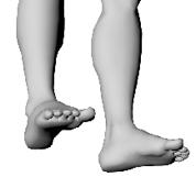 Podstawowe aplikacje plastrów ból przeniesiony i promieniujący stopy mięsień zginacz długi palców Tai Xi / KD-3 / N-3 mięsień