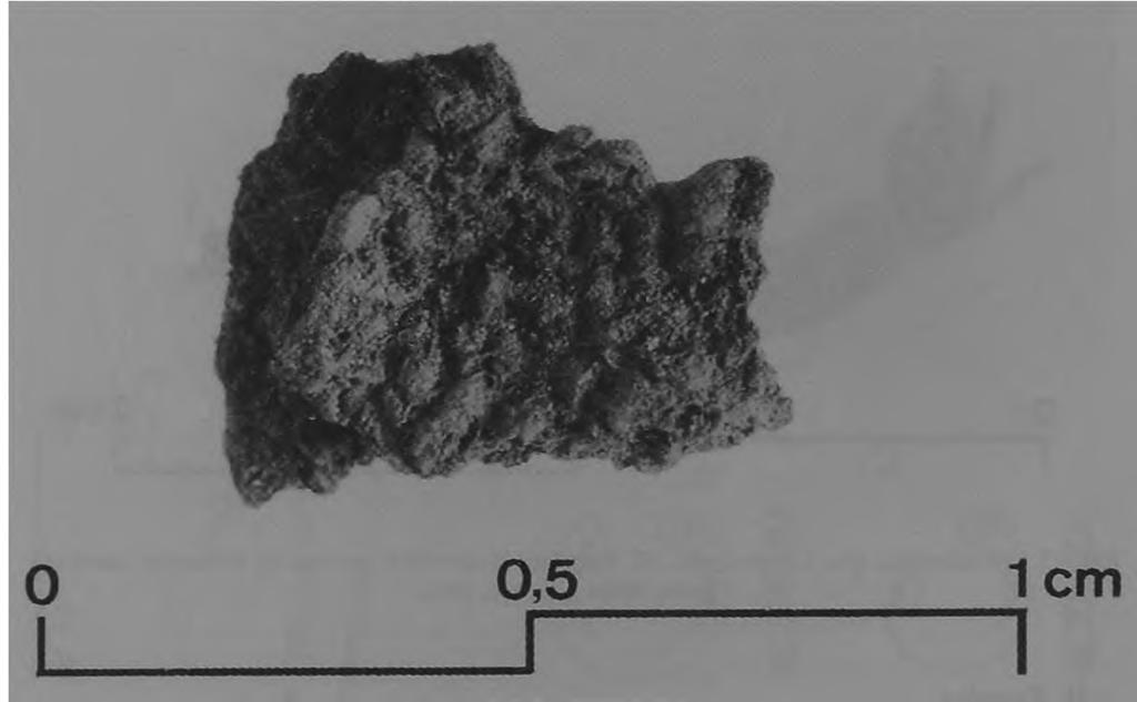 8 6 A N D R Z E J S IK O R SK I. A N N A W R Z E SIŃ SK A. JA C E K W R ZE SIŃ SK I Ryc. 18. Dziekanowice, gm. Łubowo, stan, 22. Fragment negatywu tkaniny z jelca miecza z grobu 8/94.