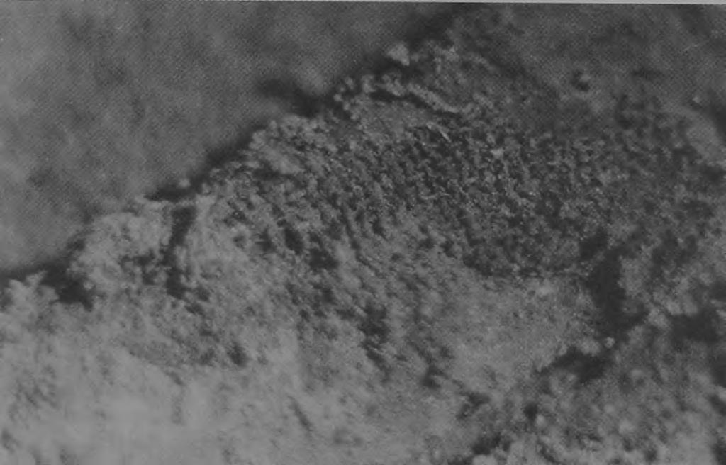 Grób 2 9 /9 2 fragment tkaniny in situ (por. ryc. 1A). Ryc.