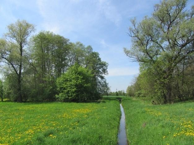 W sąsiedztwie w/w obszarów Natura 2000 są zlokalizowane wsie: Liszyno - z zabudową mieszkaniowo usługową