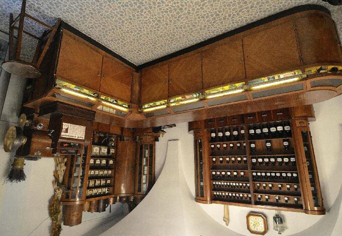 Po wielu perypetiach w 1900 roku uzyskała jako pierwsza w Petersburgu dyplom prowizora, a rok później tytuł magistra farmacji na Akademii Wojenno-Medycznej.