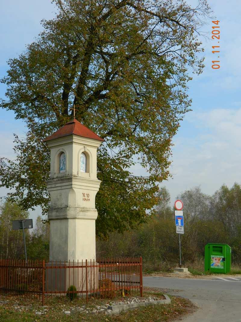101 Fot. nr 164 (164-165).