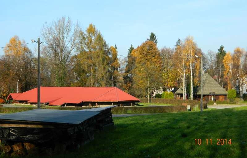 skraju lasu. Fot. nr 101.