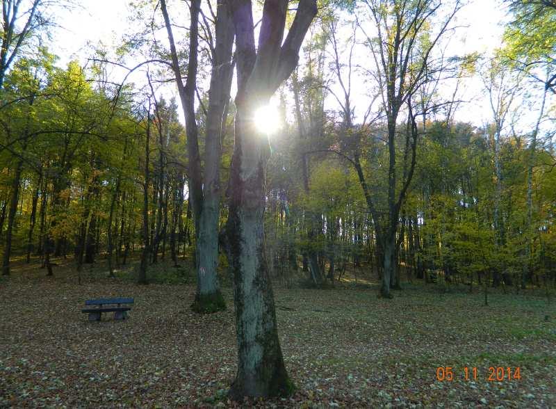 81 V. Bielany i ich obrzeze Fot.
