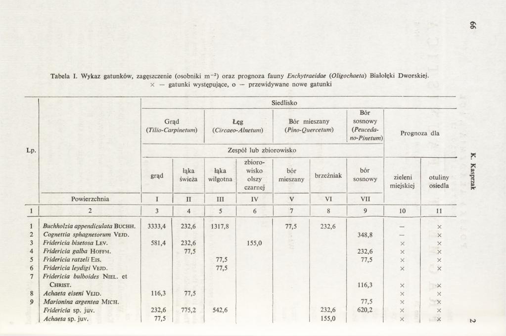 Os o\ Tabela I. Wykaz gatunków, zagęszczenie (osobniki m -2) oraz prognoza fauny Enchytraeidae (Oligochaeta) Białołęki Dworskiej.