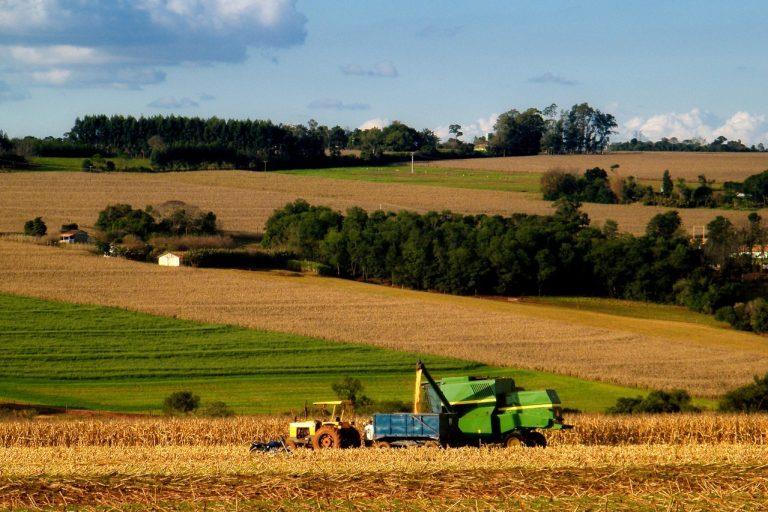 Rolnictwo w Polsce wytwarza 2,6% PKB (na świecie i UE ok. 3%), a zużywa około 6-7% energii finalnej.