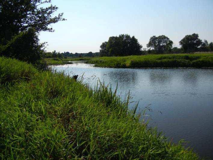 Brak siedlisk, które odpowiadałby wymaganiom rzadkich i chronionych gatunków ślimaków