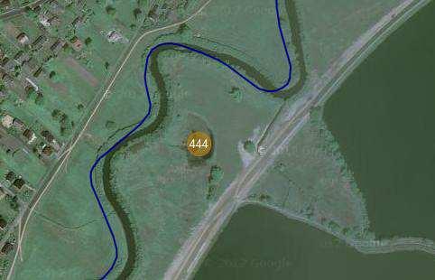 Mapa 6. Lokalizacja starorzecza nr. 444 STARORZECZE 444 (MAPA 6) Carychium minimum (cf.