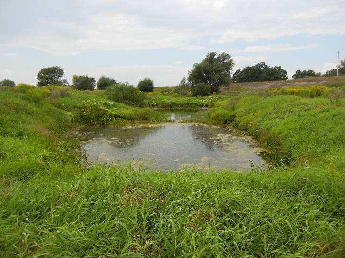 STARORZECZE 456 (MAPA 18) Trochulus hispidus Zonitoides nitidus Cepaea nemoralis Zbiornik wodny prawdopodobnie użytkowany jako staw