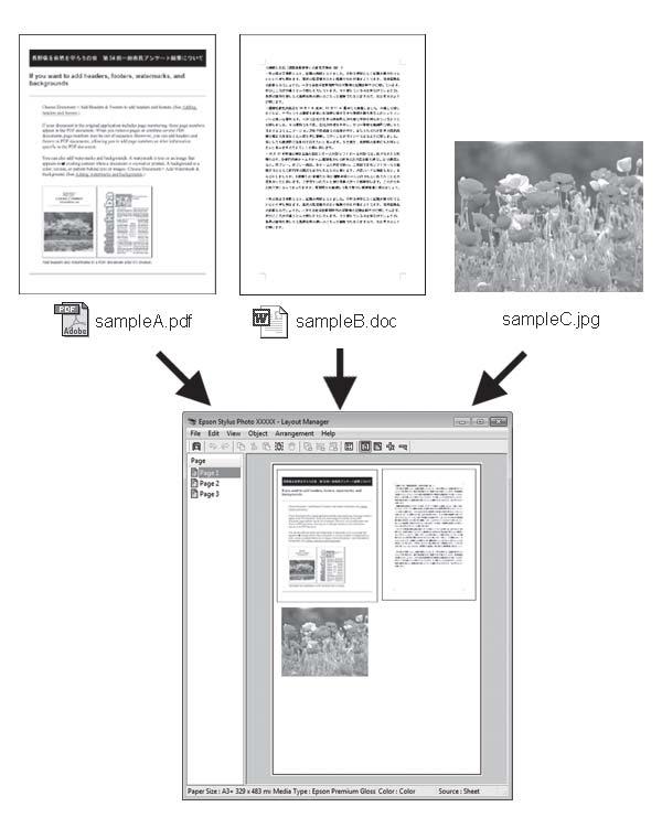 Różne funkcje związane z drukowaniem Layout Manager (Menedżer układu) (tylko w systemie Windows) Wiele