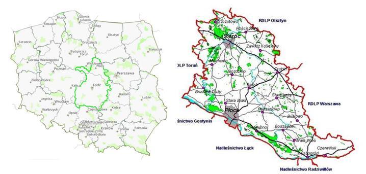Gminy Mochowo na koniec 2014 r. zajmowały powierzchnię 2 238,14 ha, czego 54% stanowiły lasy publiczne Skarbu Państwa.