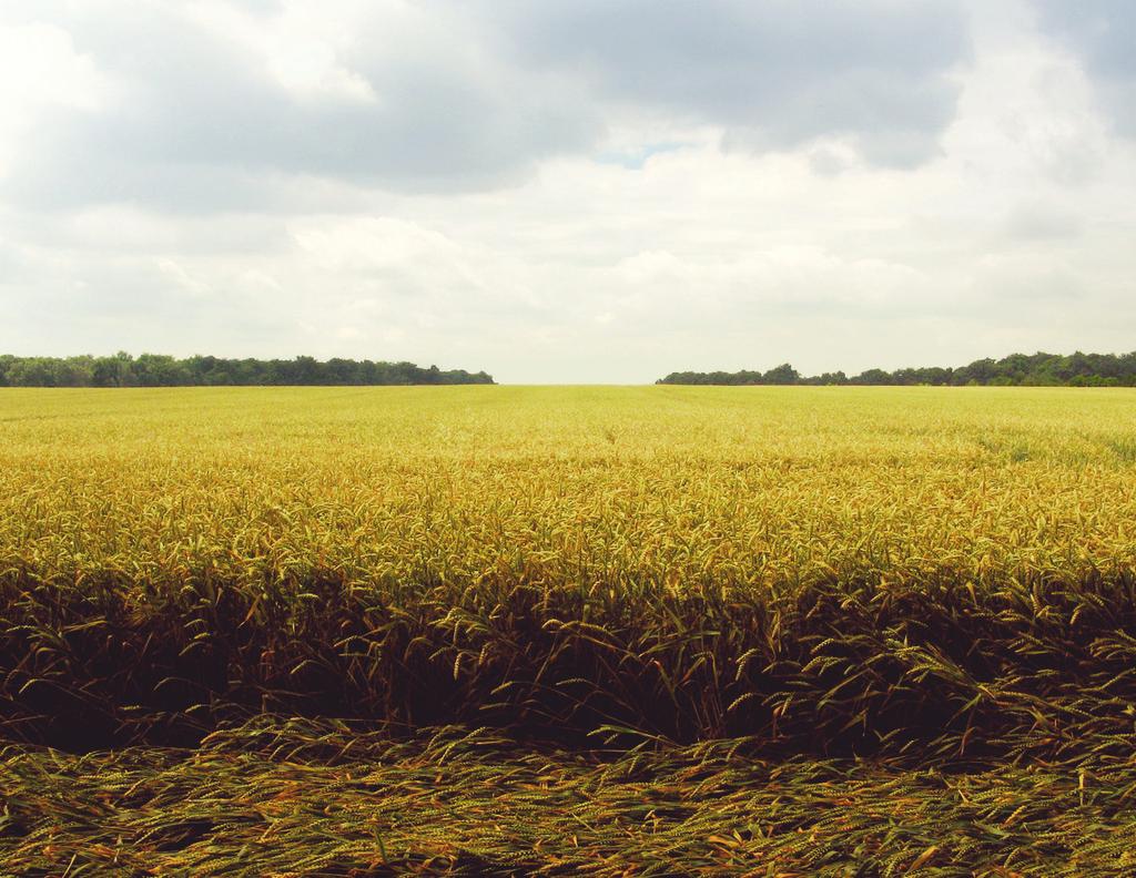 Naszym celem jest produkcja energii odnawialnej oraz cennych nawozów z każdego rodzaju odpadów organicznych.