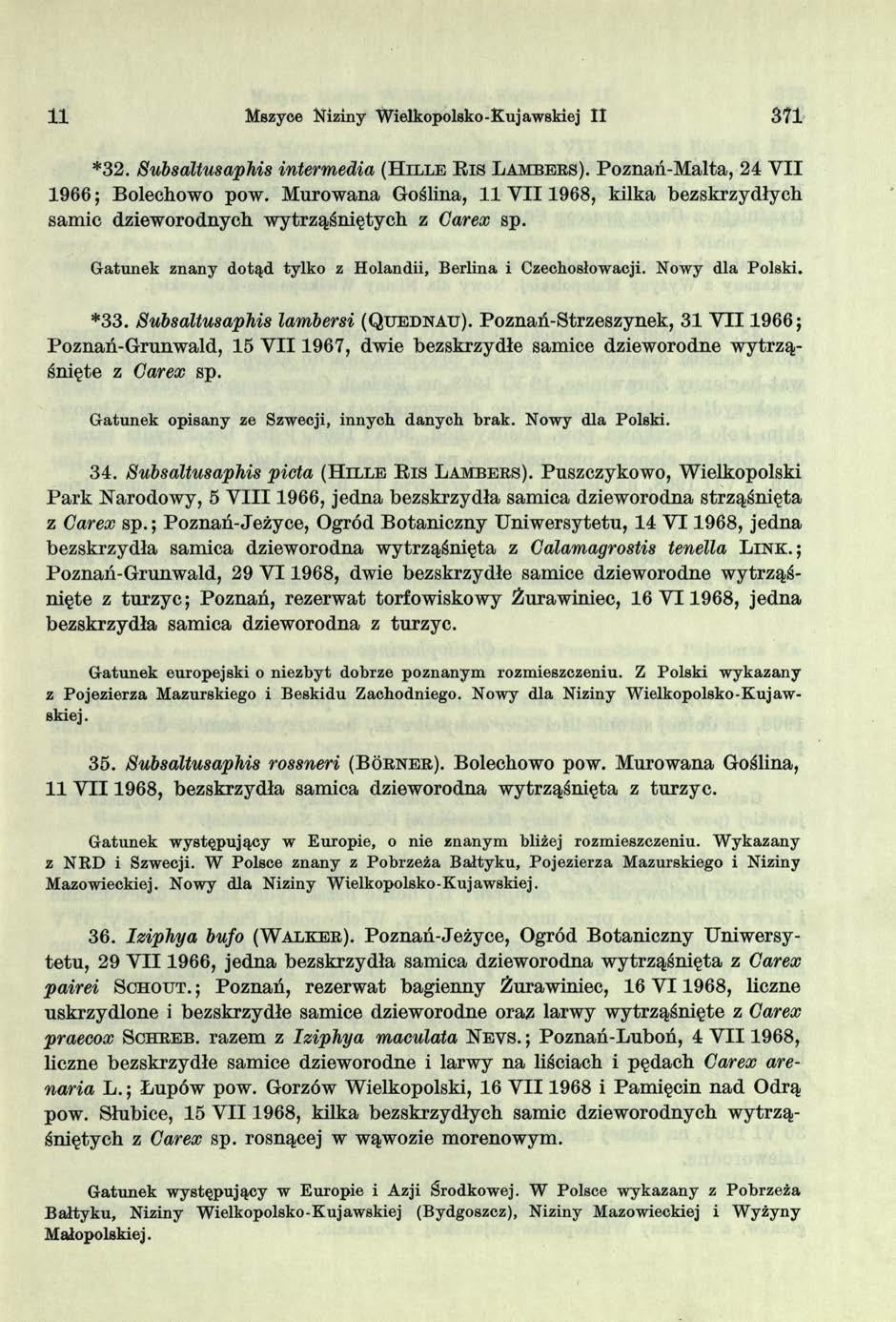 11 Mszyce Niziny Wielkopolsko - Kuj awskiej II 371 *32. Subsaltusaphis intermedia (H il l e R i s L a m b e e s ). Poznań-Malta, 2 4 VII 1966; Bolechowo pow.