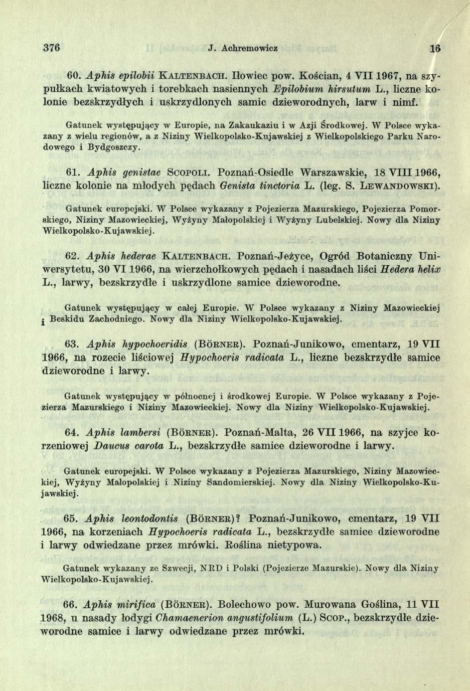 376 J. Achremowicz 16 60. Ajphis epilobii K a l t e n b a c h. Iłowiec pow. Kościan, 4 VII 1967, na szypułkach kwiatowych i torebkach nasiennych jepilobium hirsutum L.