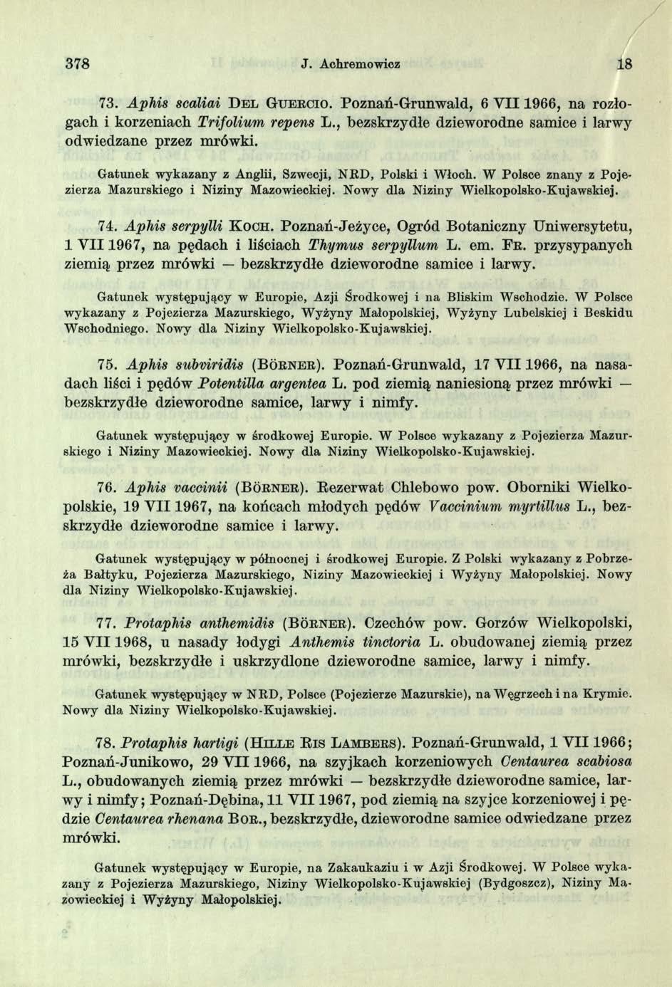 378 J. Achremowicz 18 73. Aphis scaliai D e l G u e r c io. Poznań-Grunwald, 6 V II1966, na rozłogach i korzeniach Trifolium repens L bezskrzydłe dzieworodne samice i larwy odwiedzane przez mrówki.
