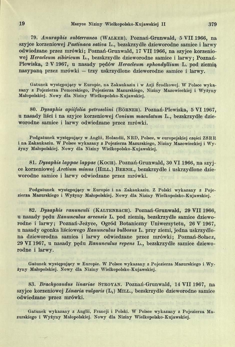19 Mszyce Niziny Wielkopolsko-Kujawskiej II 379 79. Anur aphis subterranea ( W a l k e r ). Poznań-Grunwald, 5 Y II1966, na szyjce korzeniowej Pastinaca sativa L.