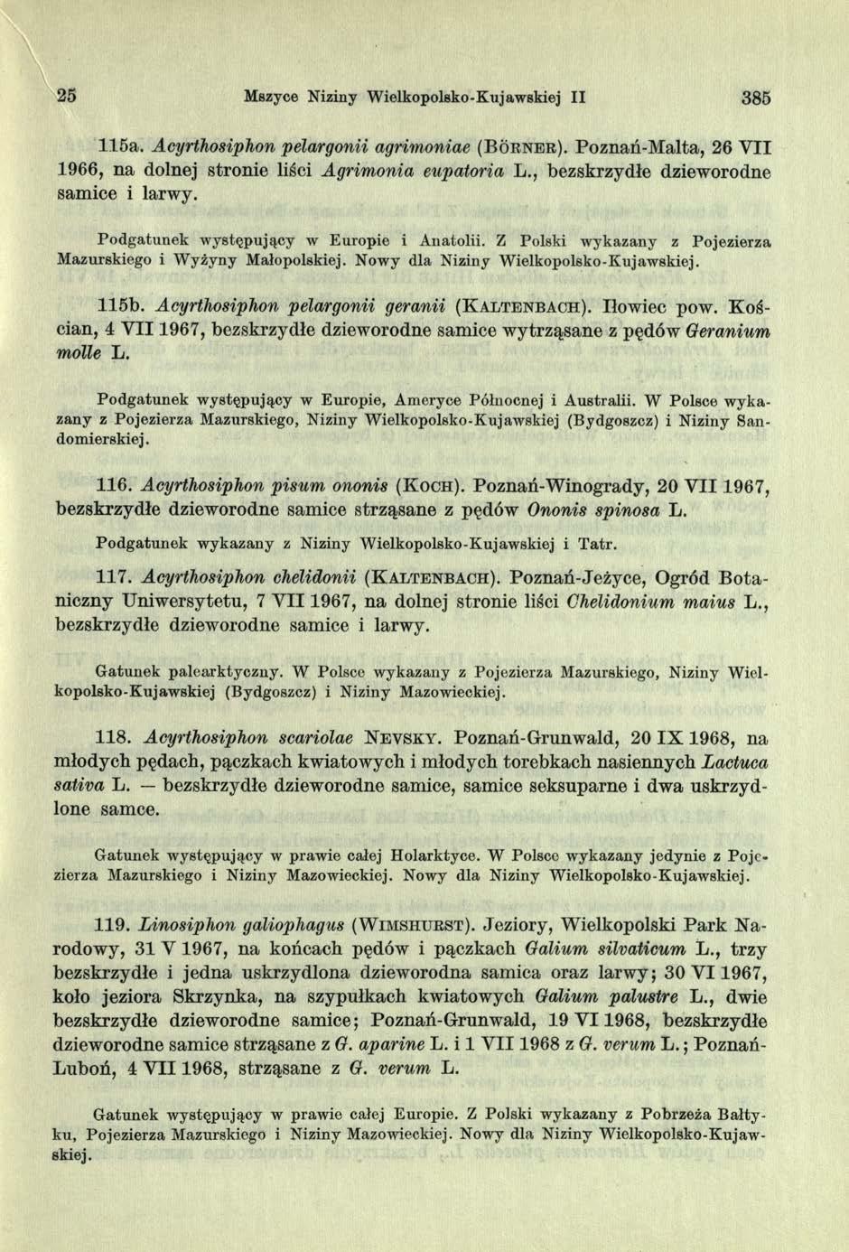 25 Mszyce Niziny Wielkopolsko-Kujawskiej II 385 115a. Acyrthosiphon pelargonii agrimoniae ( B o r n e r ). Poznań-Malta, 26 YII 1966, na dolnej stronie liści Agrimonia eupatońa L.