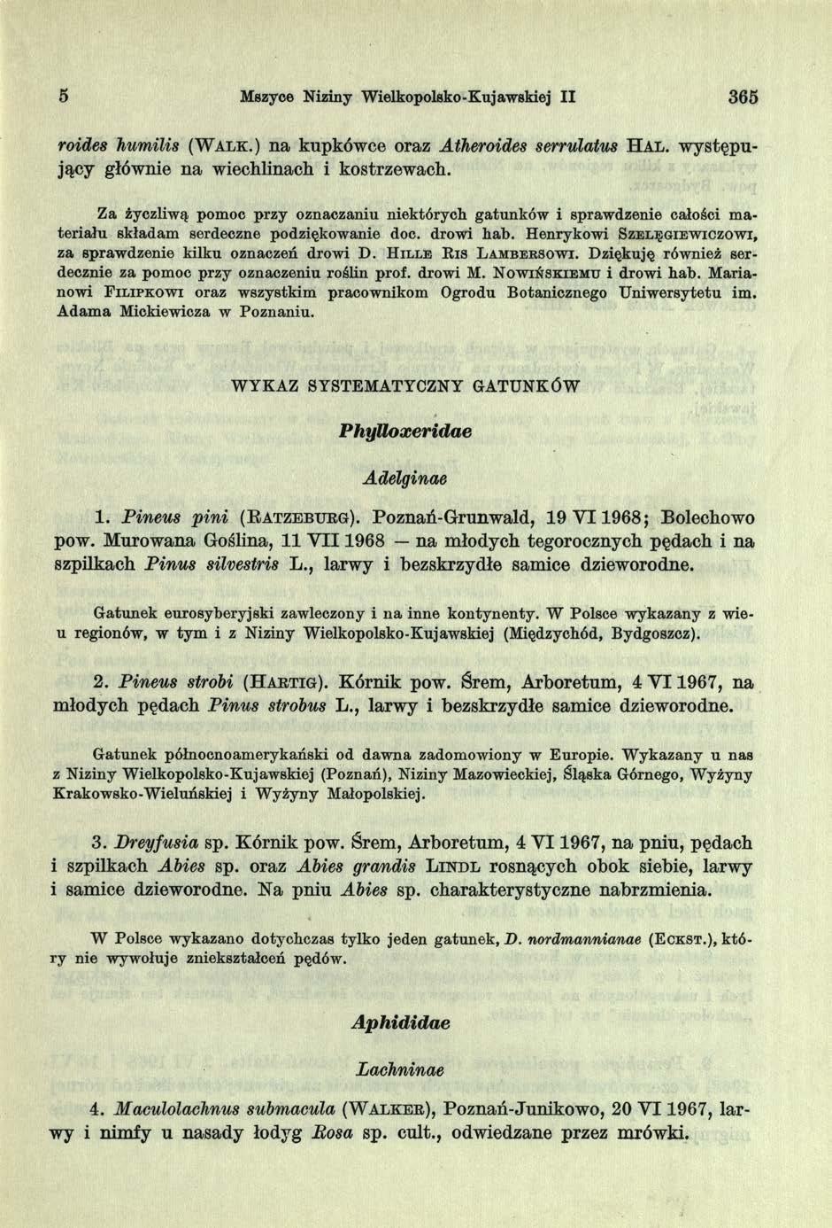 5 Mszyce Niziny Wielkopolsko - Kuj awskiej II 365 roides łiumilis (W a l k.) n a k u p k ó w ce oraz Atheroides serrulatus H a l.
