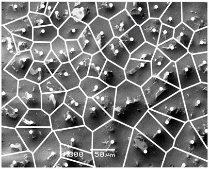 Podział na komórki Voronoi powierzchni folii ściernych o ziarnistości a) 9 µm, b) 15 µm, c) 30 µm Fig. 6.