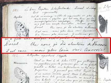 Projekt programu czynnej ochrony niepylaka apollo Parnassius apollo (Linnaeus, 1758) w Polsce Fot. 23. Strona z rękopisu Ch. Perthées a [1798 1800].