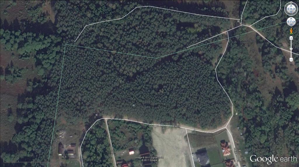 5.2.3. Białołęka Olesin Rysunek 3. Czerwona strzałka wskazuje usytuowanie urządzeń siłowni leśnej, niebieska plac rekreacyjne.