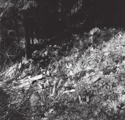 Ryc. 2. Wysypisko zlokalizowane na zboczu doliny wciosowej Fig. 2. Rubbish ground on the slope of a V-shaped valley wań lub w pewnym oddaleniu, przy drodze prowadzącej do lasu w odległości do 500 m od zagród znajdowało się ich łącznie 95,4% (Sadowski 2000).