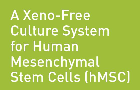 HODOWLA KOMÓREK MACIERZYSTYCH Human Mesenchymal Stem Cells Odczynniki do izolacji i ekspansji ludzkich mezenchymalnych komórek macierzystych w warunkach Xeno-Free, Serum-Free (bez komponentów