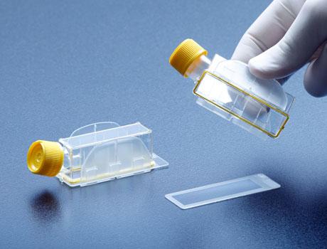 CYTOGENETYKA HODOWLA AMNIOCYTÓW 01-194-1B od 20 szt. 0 ml 170 0 5 3, 162,00 6,00 594,00 An improved version of Amniotic Fluid & Chorionic Villus (CV) Cell od 20 szt.