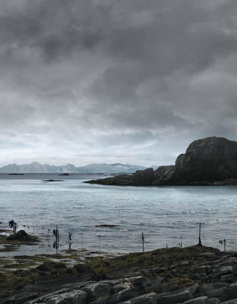 Twój sprzedawca Jøtul: 2016/2017 Indeks