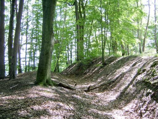 Jezioro Łubówko 77.50 gmina Drezdenko, Nadleśnictwo Smolarz, Leśnictwo Radowo Ochrona i zachowanie unikalnego krajobrazu morenowego oraz buczyny o naturalnym charakterze. krajobrazowy Czaplenice 8.