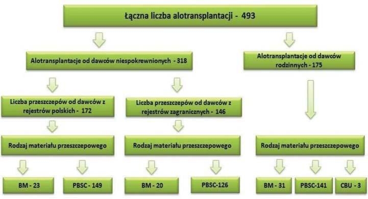 W 2013 r. wykonano w Polsce 493 transplantacje alogenicznych komórek krwiotwórczych od dawców rodzinnych i niespokrewnionych.
