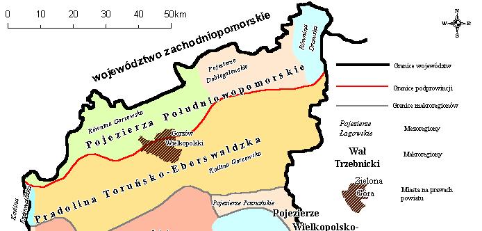 Gmina położona jest na skraju dwóch makroregionów: Pojezierza Południowopomorskiego i Pradoliny Toruńsko-Eberswaldzkiej.