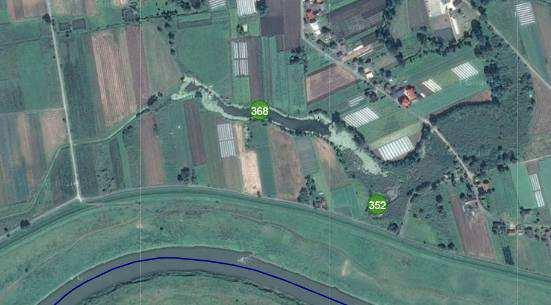 Starorzecza nr 368: U