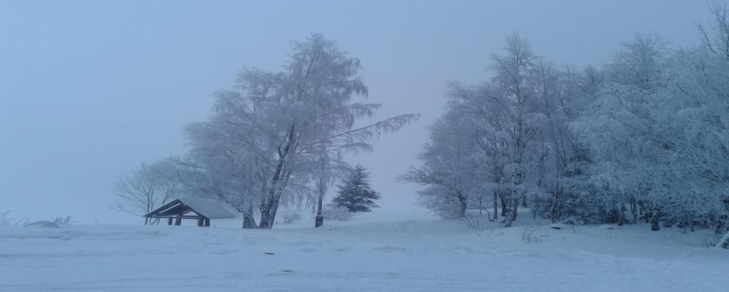 Zima - jedna z czterech pór roku w przyrodzie, w strefie klimatu umiarkowanego.