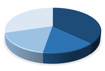 Wykres 1 Graficzna prezentacja struktury akcjonariatu LUG S.
