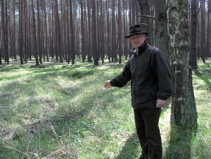 101 21 rogsen Die Informationen zum Standort dieses Zwangsarbeitslagers stellte Rafał Rzeszuto, Lehrer an der Forstschule Rogoziniec, zur Verfügung.