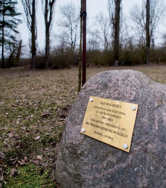 149 2014 wurde auf dem Lagergelände eine Eiche der Freiheit im Rahmen der von Bronisław Komorowski, dem damaligen polnischen Präsidenten, initiierten landesweiten Erinnerungsaktion an den 25.