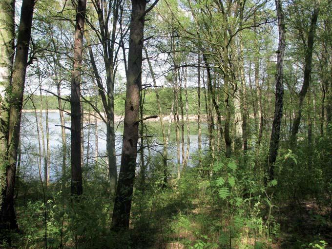 jezioro paklicko wielkie (packlitzsee) 90 Die Nazis planten, die Autobahn praktisch unmittelbar am Ufer dieses sehr reizvollen Sees entlang zu führen, um dem vorbeirasenden Autofahrer einen kurzen