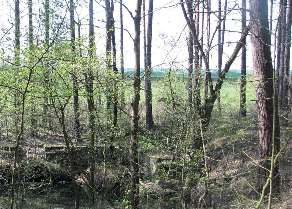 20 brätz 98 Blick vom früheren Lagergelände mit Mauerresten auf die Autobahn. / Widok na autostradę z terenu byłego obozu z resztkami muru, 2016. Foto / Zdj.: Matthias Diefenbach. 2008/2009 erneuert.