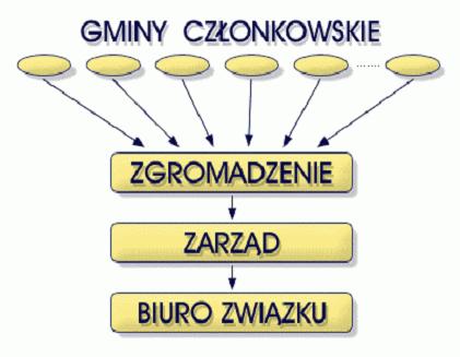 zewnętrznym na podstawie zawieranych z nimi umów. Związek określa szczegółowe parametry zamawianych przez siebie usług i nadzoruje prawidłowość ich realizacji.