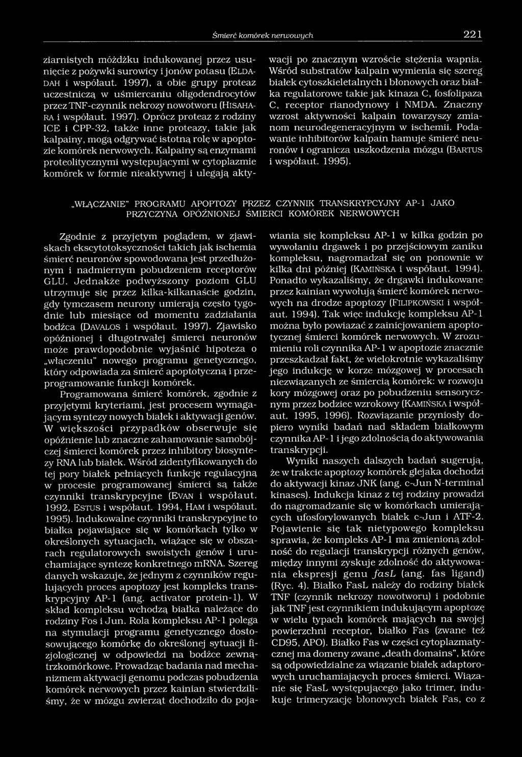 Oprócz proteaz z rodziny ICE i CPP-32, także inne proteazy, takie jak kalpainy, mogą odgrywać istotną rolę w apoptozie komórek nerwowych.