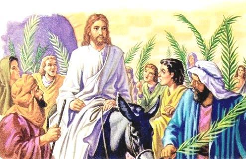 oślicy. Uczniowie poszli i uczynili, jak im Jezus polecił. Przyprowadzili oślicę i źrebię i położyli na nie swe płaszcze, a On usiadł na nich.