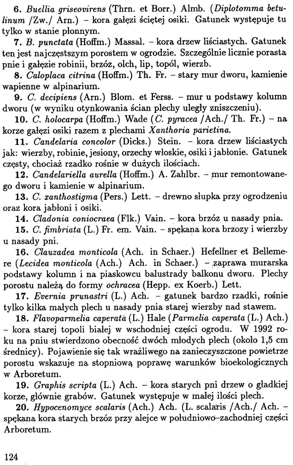 6. Buellia griseovirens (Thrn. et Borr.) Almb. (Diplotomma betulinum IZw.1 Arn.) - kora ga³êzi œciêtej osiki. Gatunek wystêpuje tu tylko w stanie p³onnym. 7. B. punctata (Hoffm.) Massal.