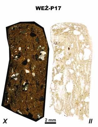 Petrograia ceramiki