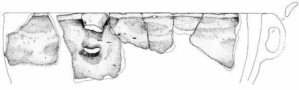 niniejszym artykule (rys. A. Chojnacka-Banaszkiewicz) Fig. 2e.