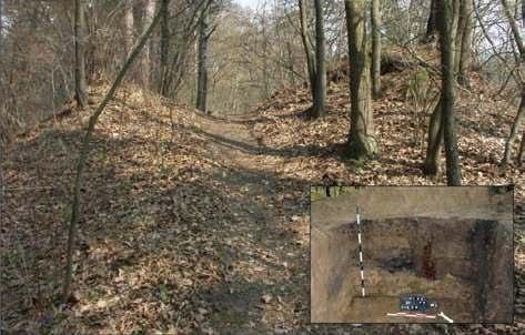 7. Olsztyn City Forest, site LXXIX (stronghold). Trench no 1/06 on the summit of the peninsula, by the irst moat (photo by A.